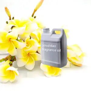 Frangipani Óleo de fragrância preço barato forte concentrado baixo moq para fazer ar fresco vela perfume para carro