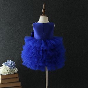 3 Year Old Girl <b>Tutu</b> Dress Baby Girl Party Dress Children Frocks - Product Image 6