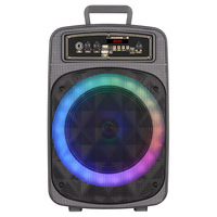 Mini enceinte amplifiée sans fil de 8 pouces, portable, active, pour l'extérieur