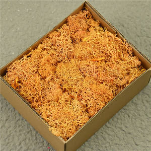 มอสตกแต่งโต๊ะต้นไม้กระถางมอสตกแต่งบ้านศิลปะตกแต่งบ้าน - Product Image 2