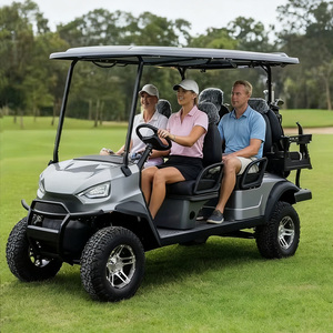 Voiturette de <span class=keywords><strong>golf</strong></span> électrique Holladay en acier 3-4 places, moteur puissant 60V, sur mesure, 3500W, certifiée CE, avec pare-soleil - Product Image 3