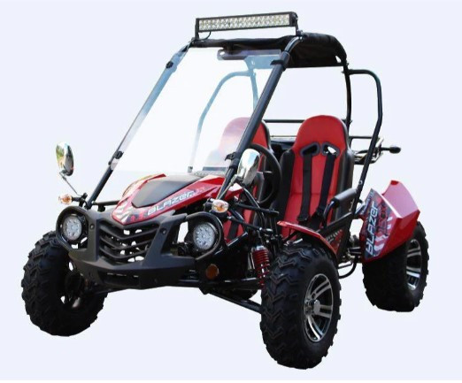 Uwnat 175cc 275cc автоматический 4-тактный багги для бега на картинге