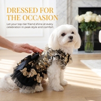 Robe de mariée de luxe noire et dorée style princesse pour petits chiens et chats