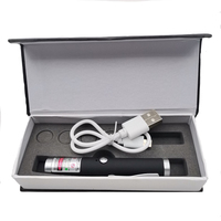 Penna puntatore Laser verde Mini puntatore Laser verde ricaricabile USB