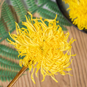 Vente en gros à bas <span class=keywords><strong>prix</strong></span> du fabricant de <span class=keywords><strong>chrysanthème</strong></span> jaune à filetage doré de thé aux fleurs cueillies à la main de haute qualité - Product Image 5