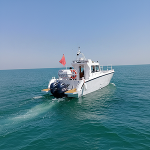 Yacht Sportivo Premium in Lega di Alluminio <span class=keywords><strong>da</strong></span> 11m con Console Centrale, Doppi Motori Fuoribordo <span class=keywords><strong>da</strong></span> 150HP, <span class=keywords><strong>Costruzione</strong></span> Saldata, Pronto per Gite Turistiche - Product Image 5
