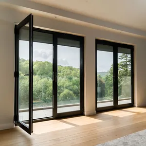 Portes battantes modernes en aluminium de style français sur mesure design intérieur profilés en aluminium cadre double porte vitrée battante de cuisine