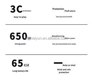<span class=keywords><strong>Tricycle</strong></span> électrique avec auvent rideau de pluie Transport familial pour ramasser les enfants <span class=keywords><strong>Tricycle</strong></span> électrique à 3 roues adulte - Product Image 4