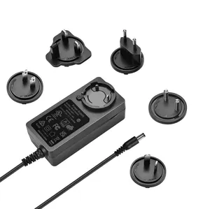 Adaptateur de prise interchangeable 12 V 2.5A alimentation 12 volts 2.5 ampères adaptateur de chargeur ca cc avec prise US EU UK AU japon corée