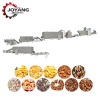 Productielijn voor het maken van multigrain frosted corn wheat bran flakes, chocoladeballetjes, schelpjes, ringen en ontbijtgranen met een extruder.