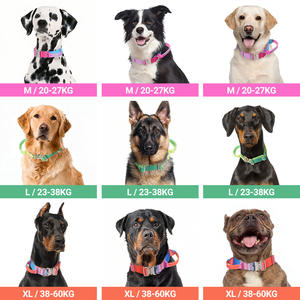 Bestseller Langlebiges Taktisches Hundehalsband aus Nylonband Modisches Hundehalsband für Mittelgroße und Große Hunde <span class=keywords><strong>Training</strong></span> - Product Image 6