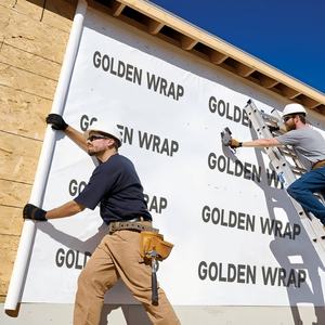 Lona Protectora para Paredes de Casa, Resistente, Duradera, con Protección UV, Ecológica, Transpirable y Resistente a la Intemperie - Product Image 3