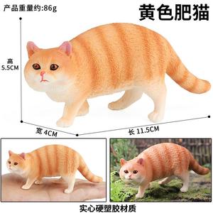 Yxs enfants simulation cognitive modèle animal solide jouet jaune gros chat <span class=keywords><strong>persan</strong></span> animal domestique - Product Image 3