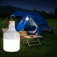 Haute puissance Rechargeable LED Camping lumière Portable suspendu ampoule d'urgence extérieure pour tente randonnée pêche