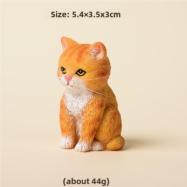 5-อื่นๆ