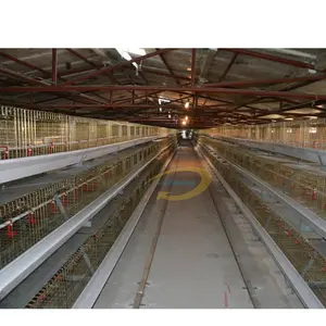 Chick Live Transport Kandang Ayam Kinerja Ayam Skotlandia untuk Lapisan Ayam Sangkar Jala Kandang Ayam Broiler