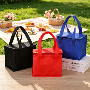 Sac isotherme de livraison alimentaire grande taille avec fermeture éclair, doublure en feuille d'aluminium, sac fourre-tout pour le déjeuner, sac isotherme pour bière, sac de courses réutilisable - Product Image 1