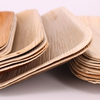 Assiettes carrées jetables en bois biodégradables écologiques, plateaux en bois pour pique-nique, camping, barbecue, dessert, fruits, bento