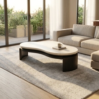Ensemble de tables basses gigognes polyvalentes, table principale rectangulaire en MDF noir avec table d'appoint carrée, décoration moderne pour la maison, gain de place