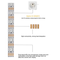 Tira de Luces LED RGB Digitales de 12V, Direccionables Individualmente, con Wi-Fi, 5m, Programables, Tipo Pixel