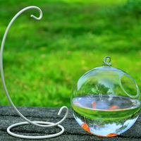 Aquarium suspendu en verre de forme ronde, vase à fleurs, vase sphérique en verre fait main, mini aquarium pour poissons rouges