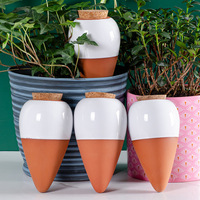 Accessoires pour plantes d'intérieur et d'extérieur pour plantes 4pcs Globes d'arrosage pour plantes