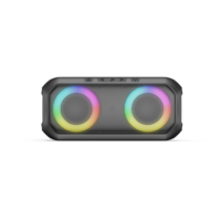 Enceinte sans fil Budi 30w avec son puissant, lumière disco LED, enceinte portable pour fêtes, machine de karaoké avec microphone sans fil