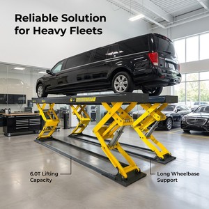 Elevador Automático de Doble Cilindro de 6T Personalizado con Garantía de 12 Meses para Uso en Garajes Subterráneos - Product Image 1