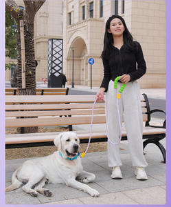 JXANRY-Correa para perro, cómoda, a prueba de explosiones, para exteriores, para perros grandes, multifuncional - Product Image 5