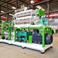 Machine extrudeuse d'aliments pour poissons RICHI - Certification CE, machine à granulés d'aliments pour poissons flottants, extrudeuse d'aliments pour poissons