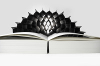 Livre d'impression numérique SICP, impressions de haute qualité, résultats professionnels, papier artistique, couverture souple, reliure cousue, estampage doré