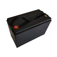 Batterie LiFePO4 12,8 V 100 Ah pour stockage d'énergie domestique, système solaire, alimentation de secours pour véhicules électriques, personnalisable en différentes tailles