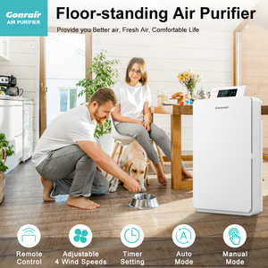 Oem ODM tuya Wifi App xách tay Hepa kích hoạt bộ lọc carbon Máy lọc không khí hộ gia đình thương mại khách sạn sử dụng điện đứng - Product Image 5