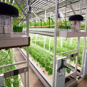 Sistema de bastidores de cultivo hidropónico de plantas médicas multispan de cáñamo comercial