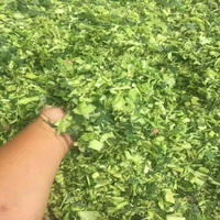 Moissonneuse d'ensilage de maïs autopropulsée de haute production pour les cultures à tige