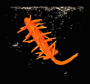 <span class=keywords><strong>Esca</strong></span> Artificiale Morbida 5.8cm/1.5g 4.5cm/1.1g per <span class=keywords><strong>Pesca</strong></span> Selvatica, <span class=keywords><strong>con</strong></span> Testa Piombata Invertita e Amo Galleggiante, per Bass e Pesci Testa di Serpente - Product Image 5