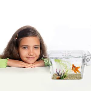 Boîte d'isolation en acrylique transparent pour élevage de poissons, <span class=keywords><strong>Betta</strong></span> Fish Aquarium incubateur d'éclosion maison de <span class=keywords><strong>poisson</strong></span> - Product Image 2