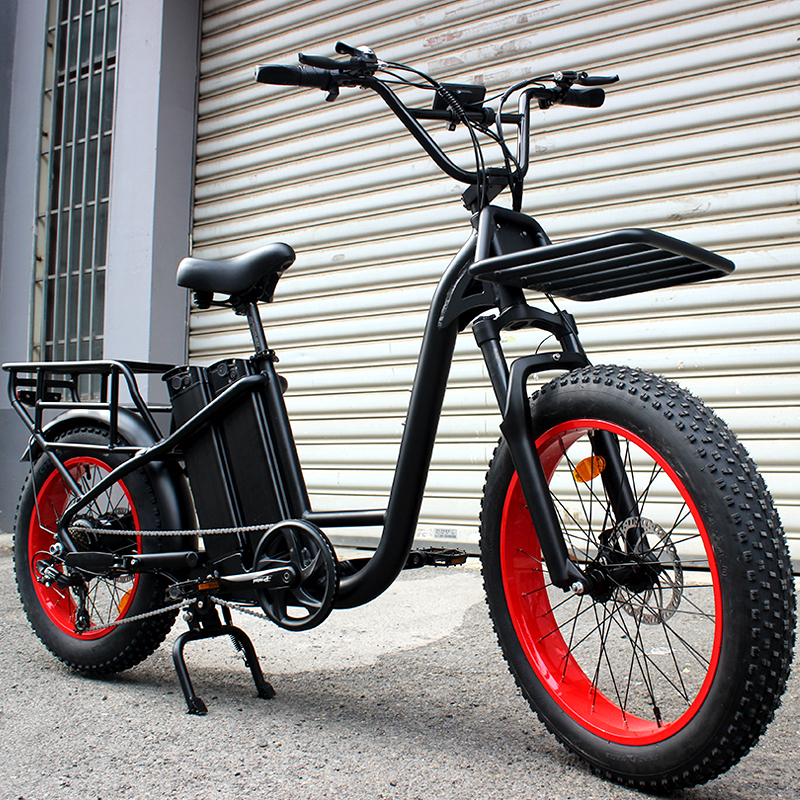 Electric Multi Purpose Bicycle Rear Rack