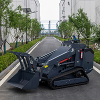 Vendita calda di 400KG Diesel Skid Steer Loader cina compatto cingolato con cambio e motore per la foresta pacciamatura falciatura