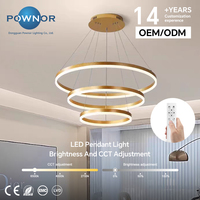 Luminaire suspendu LED en forme d'anneau, aluminium + acrylique, télécommande, hauteur réglable, CRI 97, économie d'énergie, pour la maison, le bar, le bureau, l'hôtel
