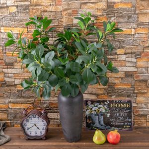 Plante Artificielle Feuille de Milan en PVC Vert, Bouquet à Branche Unique, Décoration Intérieure - Product Image 1