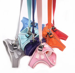 カスタマイズされた5サイズのステップイージーウォークエアメッシュ通気性ペットベスト反射犬ハーネスとリーシュセットPVCロゴ付き - Product Image 1