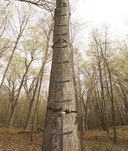 2025 tốt nhất Đầy đủ bước leo thang thanh cho cây đứng, Hươu săn bắn bánh và phụ kiện, đầy đủ bước, 25ft - Product Image 3