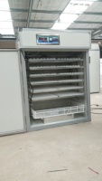 Incubateur solaire automatique pour œufs, 30 unités, pour poulet, chèvre, canard, caille