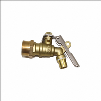 Personnalisé Nouveau Extérieur Doré Eau Bavoir Robinet Moderne En Acier Inoxydable Noyau Zinc Machine À Laver Robinet De Jardin En Laiton Cuivre Bibcock