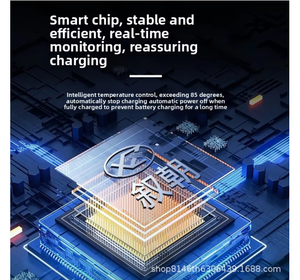 محطة شحن منزلية للسيارات الكهربائية بقوة 7 كيلوواط لسيارات تسلا وبي واي دي، بمدخل 220 فولت، شاحن سريع للمركبات ذات الطاقة الجديدة لسيارات شياوبنغ الكهربائية - Product Image 3