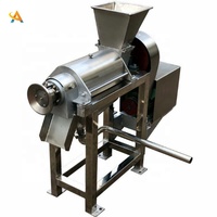 Industriële Fruit-En Groentepers-Afzuigmachine/Commerciële Sappers