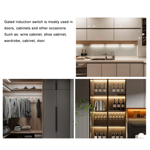 Bán buôn duy nhất cửa tủ quần áo LED chiếu sáng dải điện áp thấp có thể tháo rời duy nhất kiểm soát cổng Quy Nạp chuyển đổi - Product Image 6