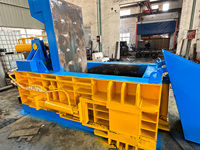Presse à briquettes de ferraille abordable pour le recyclage des copeaux d'acier, de cuivre et de fer