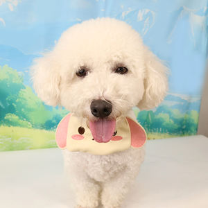 Mignon animal de compagnie spout towel <span class=keywords><strong>chien</strong></span> réglable chat <span class=keywords><strong>chien</strong></span> collier photo décoration articles - Product Image 6